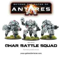Ghar Battle Squad