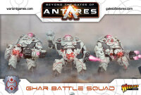 Ghar Battle Squad