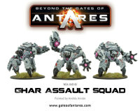 Ghar Assault Squad