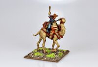 Mongol Drummer on Camel