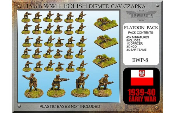 Polish Cavalry Dismounted (Czapka)